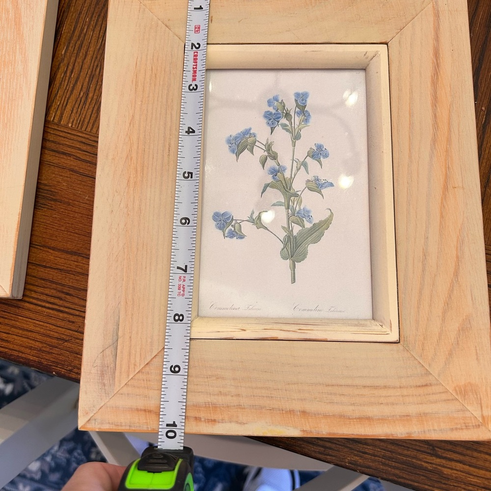 Natural Wood Framed Botanical Prints Set - Picture 3 of 9